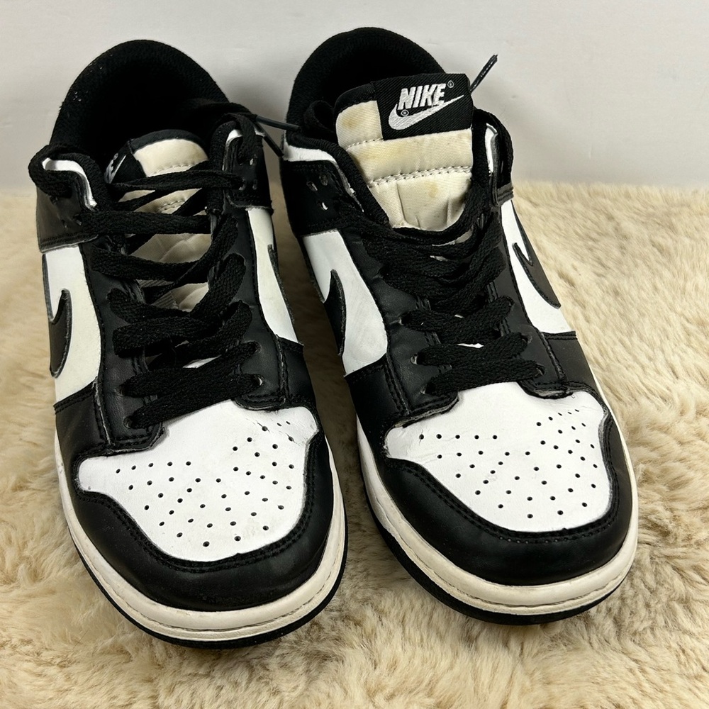 Nike Dunk Low Dunk Low Wht DD1391-100 Women’s 8